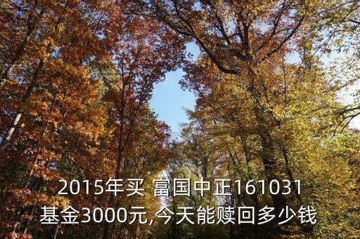 2015年買 富國(guó)中正161031基金3000元,今天能贖回多少錢