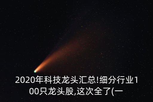 2020年科技龍頭匯總!細(xì)分行業(yè)100只龍頭股,這次全了(一