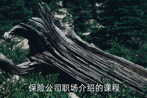 保險(xiǎn)公司講師比武評(píng)分標(biāo)準(zhǔn)