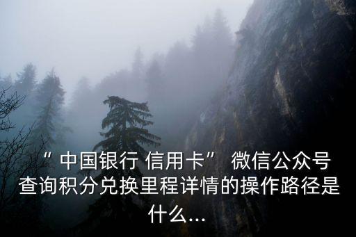 “ 中國(guó)銀行 信用卡” 微信公眾號(hào) 查詢積分兌換里程詳情的操作路徑是什么...