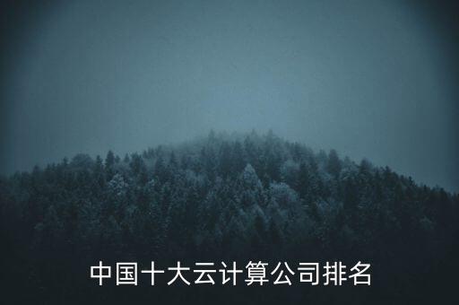 中國十大云計(jì)算公司排名