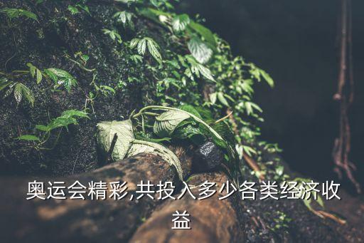 北京奧運會預算