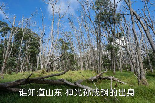 誰(shuí)知道山東 神光孫成鋼的出身