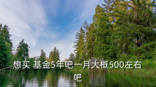 想買 基金5年吧一月大概500左右吧