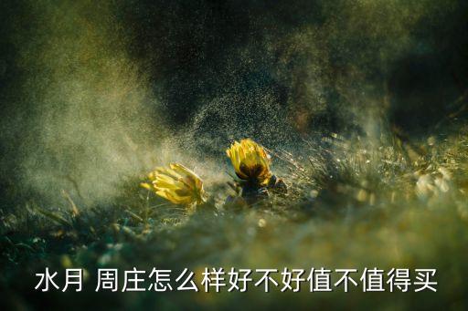  水月 周莊怎么樣好不好值不值得買(mǎi)