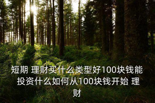 短期 理財(cái)買什么類型好100塊錢能 投資什么如何從100塊錢開始 理財(cái)