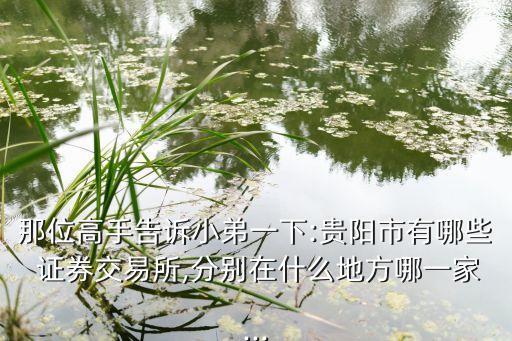 那位高手告訴小弟一下:貴陽(yáng)市有哪些 證券交易所,分別在什么地方哪一家...