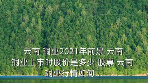  云南 銅業(yè)2021年前景 云南 銅業(yè)上市時股價是多少 股票 云南 銅業(yè)行情如何...