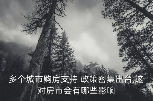 國(guó)家房地產(chǎn)調(diào)控政策對(duì)中國(guó)房產(chǎn)的影響如何