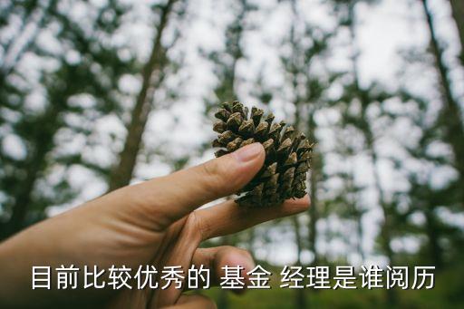 目前比較優(yōu)秀的 基金 經(jīng)理是誰(shuí)閱歷