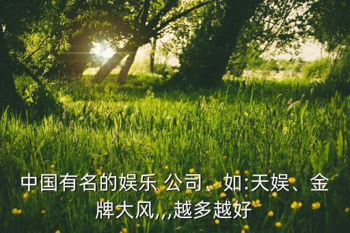 中國有名的娛樂 公司、如:天娛、金牌大風(fēng),,,越多越好