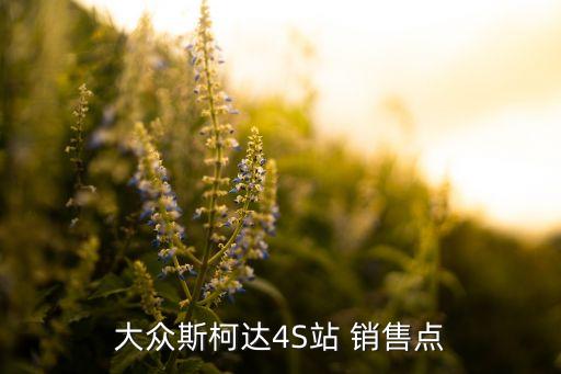 大眾斯柯達(dá)4S站 銷(xiāo)售點(diǎn)