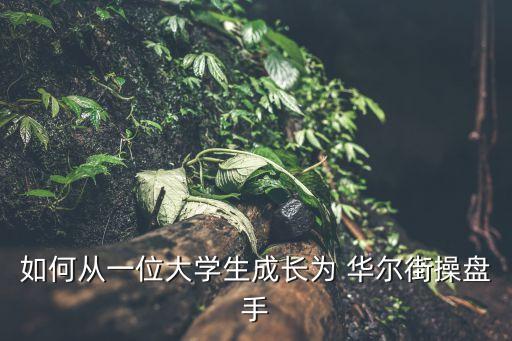 如何從一位大學(xué)生成長(zhǎng)為 華爾街操盤(pán)手