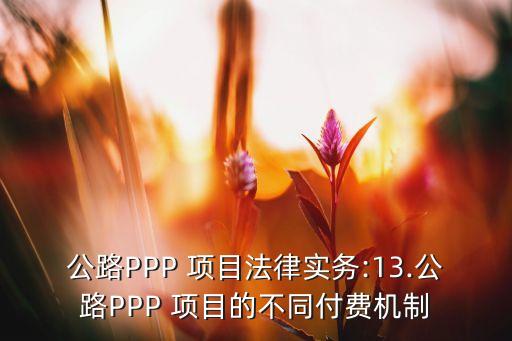 ppp項目的投資回報率,一般項目的投資回報率是多少