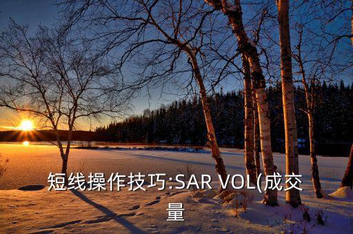 短線操作技巧:SAR VOL(成交量