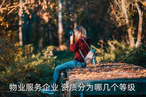 物業(yè)服務(wù)企業(yè) 資質(zhì)分為哪幾個等級