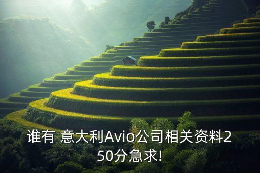 誰有 意大利Avio公司相關資料250分急求!