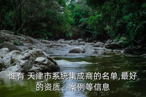 誰有 天津市系統(tǒng)集成商的名單,最好的資質(zhì)、案例等信息