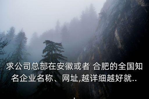 求公司總部在安徽或者 合肥的全國知名企業(yè)名稱、網(wǎng)址,越詳細(xì)越好就...