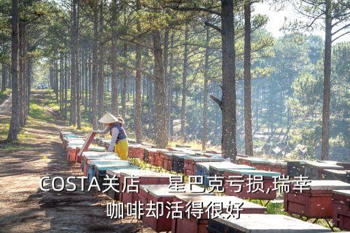 COSTA關(guān)店、 星巴克虧損,瑞幸咖啡卻活得很好