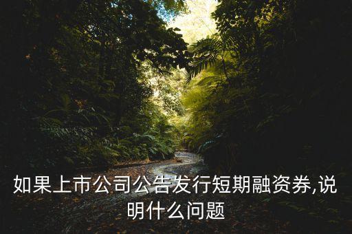 如果上市公司公告發(fā)行短期融資券,說明什么問題