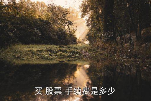 買(mǎi) 股票 手續(xù)費(fèi)是多少