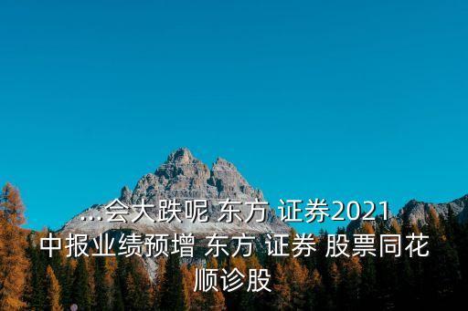 ...會(huì)大跌呢 東方 證券2021中報(bào)業(yè)績(jī)預(yù)增 東方 證券 股票同花順診股