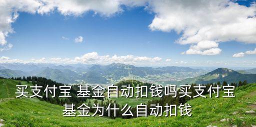 買支付寶 基金自動扣錢嗎買支付寶 基金為什么自動扣錢