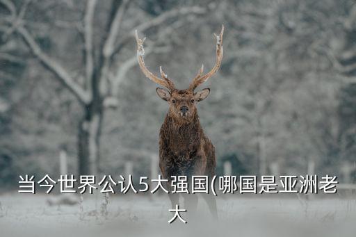 當(dāng)今世界公認(rèn)5大強(qiáng)國(guó)(哪國(guó)是亞洲老大