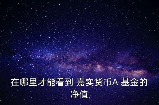 在哪里才能看到 嘉實(shí)貨幣A 基金的凈值