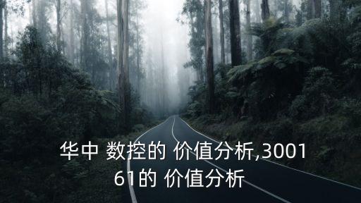  華中 數(shù)控的 價值分析,300161的 價值分析