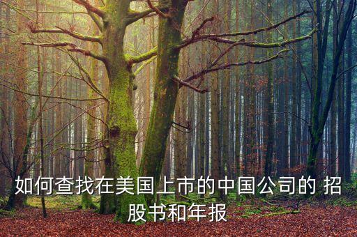 如何查找在美國上市的中國公司的 招股書和年報(bào)