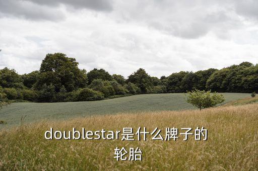 doublestar是什么牌子的 輪胎