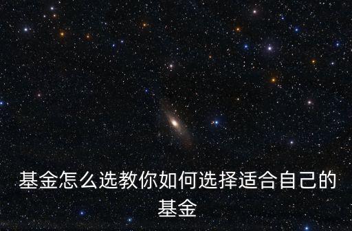 163118基金今天凈值,申萬菱信基金163118