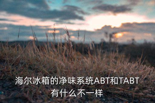 海爾冰箱的凈味系統(tǒng)ABT和TABT有什么不一樣