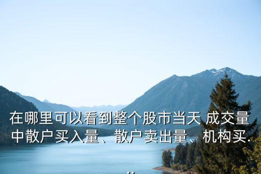 在哪里可以看到整個股市當天 成交量中散戶買入量、散戶賣出量、機構買...