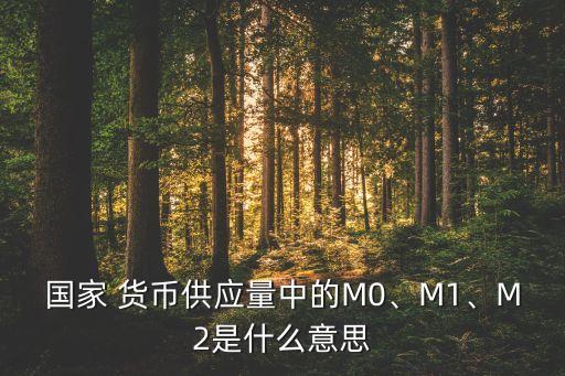 國家 貨幣供應(yīng)量中的M0、M1、M2是什么意思