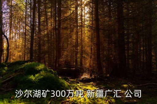 沙爾湖礦300萬噸 新疆廣匯 公司