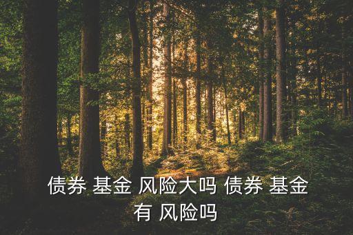  債券 基金 風(fēng)險(xiǎn)大嗎 債券 基金有 風(fēng)險(xiǎn)嗎