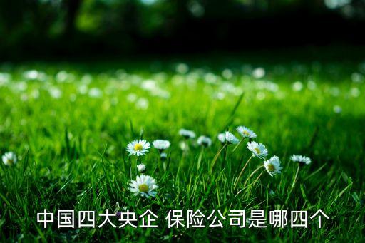 中國四大央企 保險(xiǎn)公司是哪四個(gè)