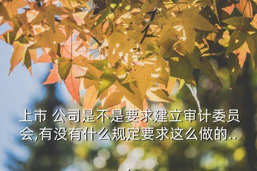  上市 公司是不是要求建立審計委員會,有沒有什么規(guī)定要求這么做的...