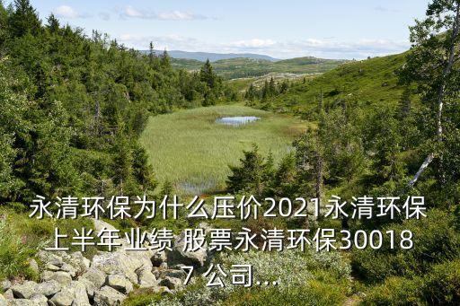 永清環(huán)保為什么壓價2021永清環(huán)保上半年業(yè)績 股票永清環(huán)保300187 公司...