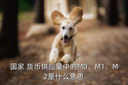 國(guó)家 貨幣供應(yīng)量中的M0、M1、M2是什么意思