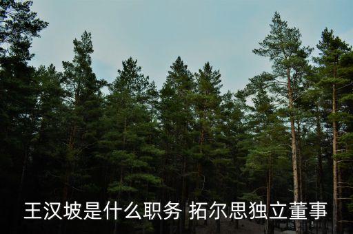 北京拓爾思信息技術(shù)有限公司trs,成都拓爾思信息技術(shù)有限公司是外包嗎