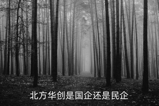 北方華創(chuàng)是國企還是民企