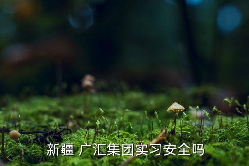 新疆哈密廣匯物流有限公司印章,哈密廣匯環(huán)?？萍加邢薰敬鲈趺礃?/></a></span><span id=