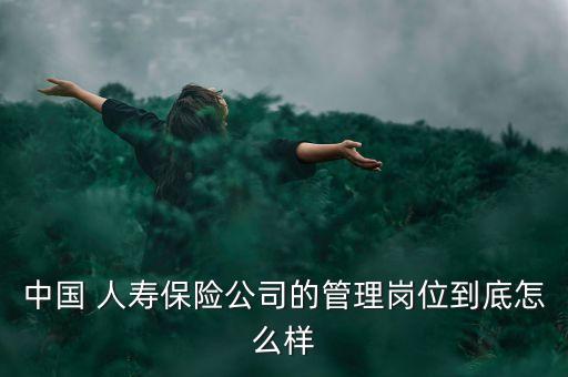 中國 人壽保險公司的管理崗位到底怎么樣