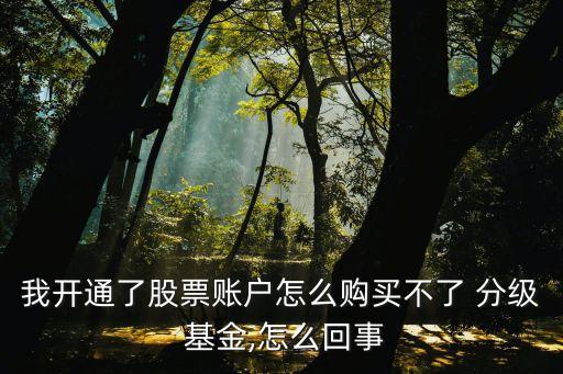 我開通了股票賬戶怎么購買不了 分級 基金,怎么回事