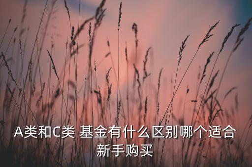 A類(lèi)和C類(lèi) 基金有什么區(qū)別哪個(gè)適合新手購(gòu)買(mǎi)