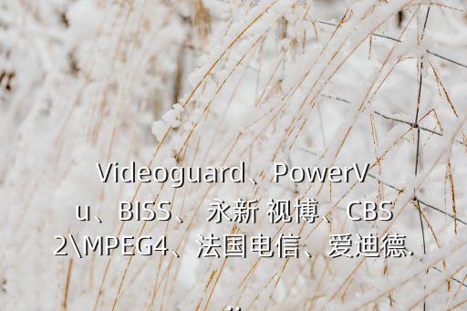 Videoguard、PowerVu、BISS、 永新 視博、CBS2\MPEG4、法國電信、愛迪德...